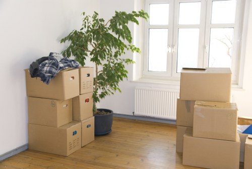 Request a removal quotation illustration